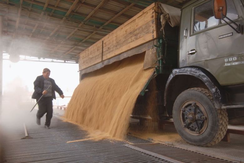 В российский интервенционный фонд закупили более 9 тыс. тонн зерна